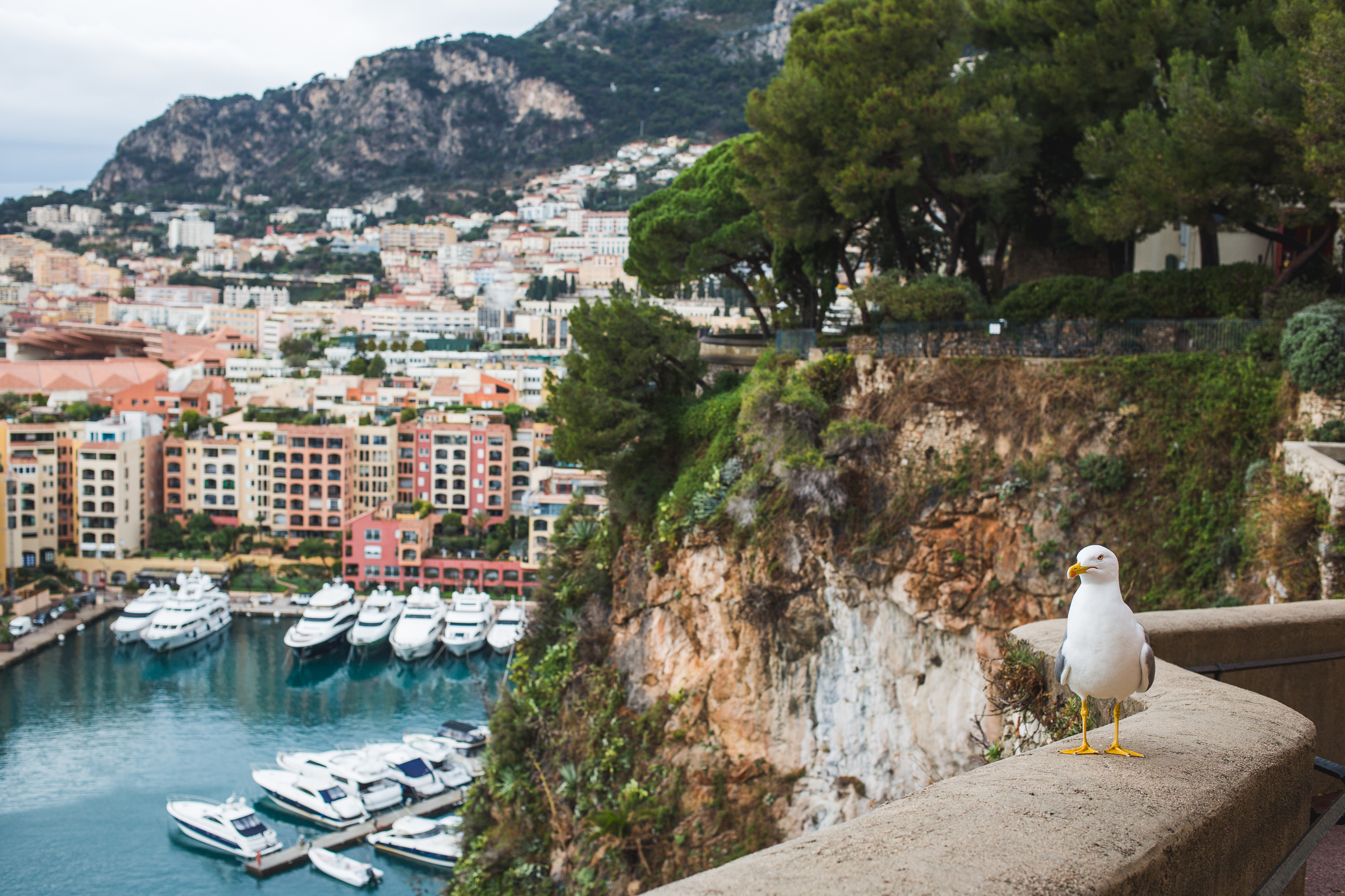 Nice day 3 &amp; 4-4