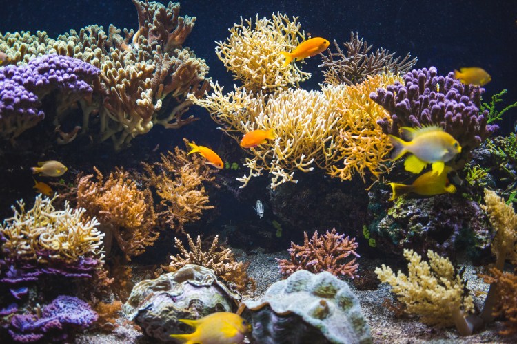 Nice day 3 &amp; 4-5