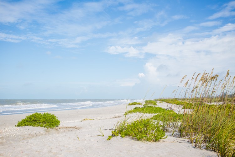FLORIDA-1